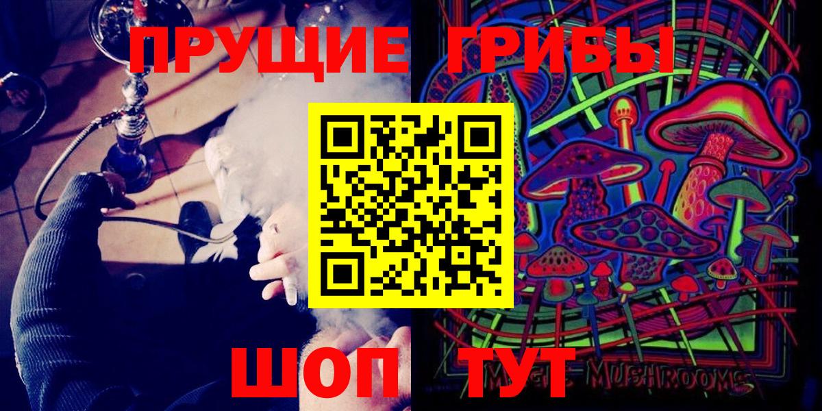 Псилоцибиновые грибы GOLDEN TEACHER Карасук
