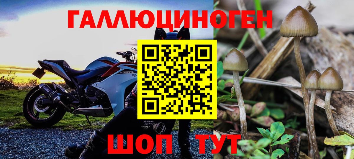 Псилоцибиновые грибы мухоморы  Вход с VPN  Карасук  наркошоп  Галлюциногенные грибы MAGIC MUSHROOMS 